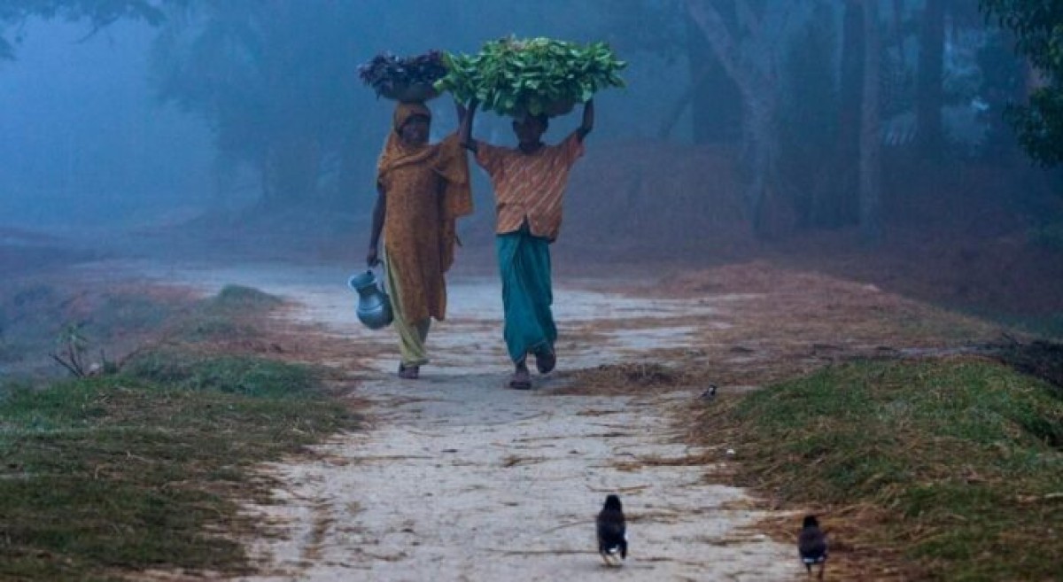 তাপমাত্রা বাড়ার সাথে কমতে শুরু করেছে কুয়াশা