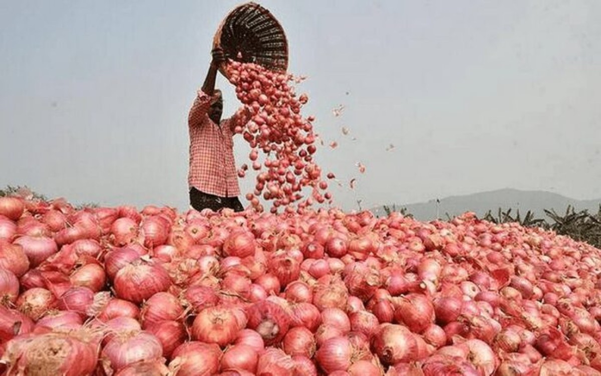 পেঁয়াজের ঝাঁজ কমলো ১০ টাকা