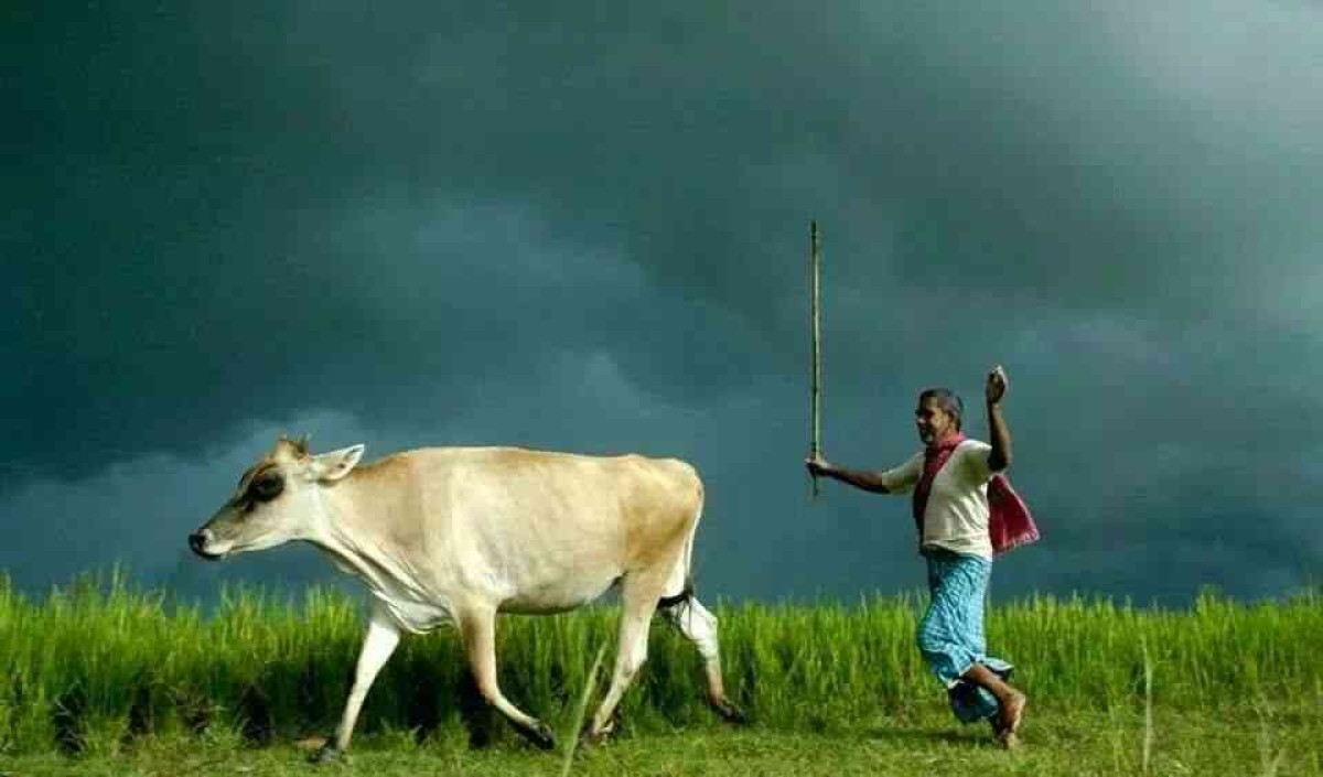 বৃষ্টিপাতের প্রবণতা কমে আসবে