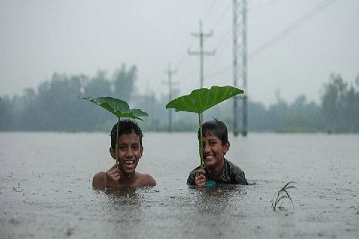 ২৪ ঘণ্টায় ৯১ মিলিমিটার বৃষ্টি পঞ্চগড়ে